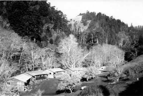 Soper-Wheeler Logging Industry