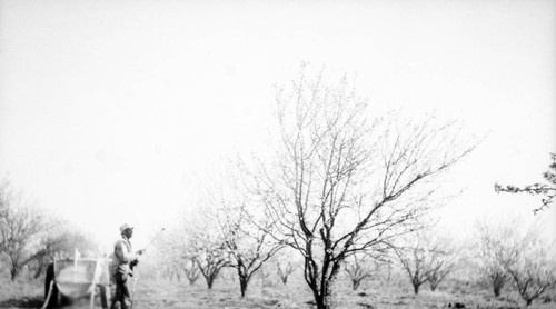 Anchorage Farm in Orland