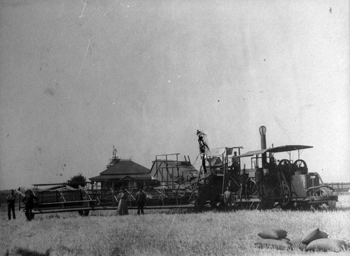 W.H. Carpenter's Harvester