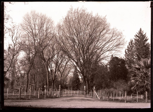 Entrance to Bidwell Mansion