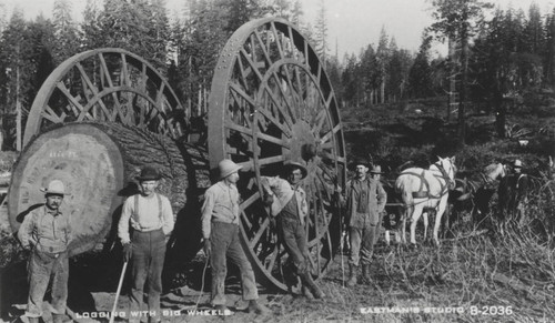 McCloud River Lumber Company