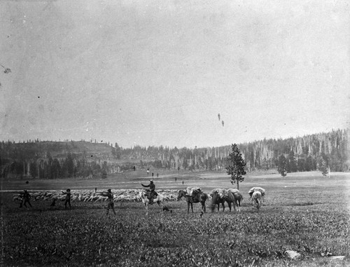 Siskiyou County Cowboys