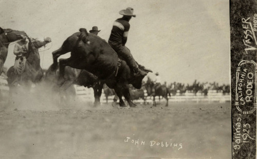 California Rodeo