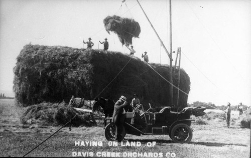 Haying on Land