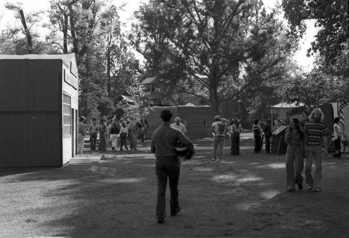 1979 Pioneer Days quad projects