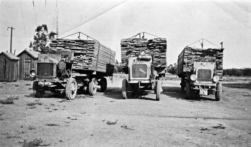 Lumber trucks