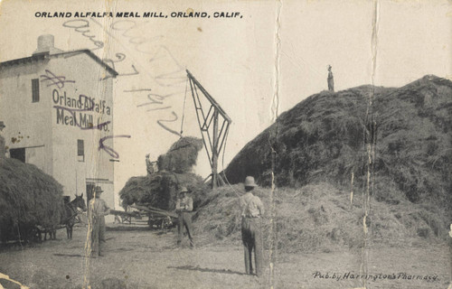 Alfalfa Mill