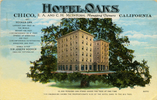 Hotel Oaks