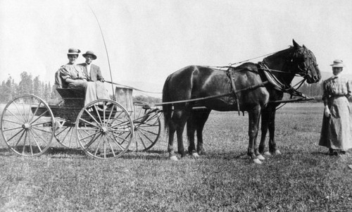 Irving Hibbert in buggy