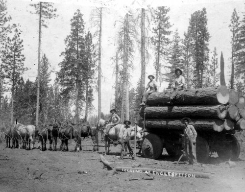 Logging at Englebretsen