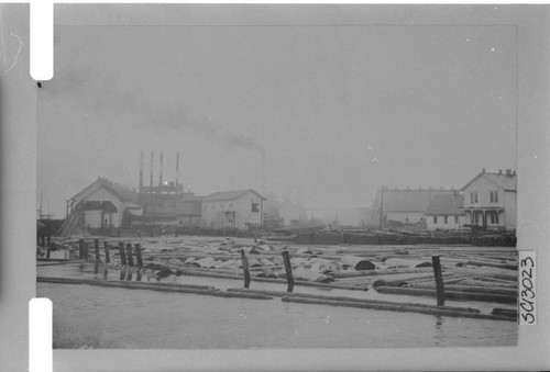 Alturas Lumber Mill