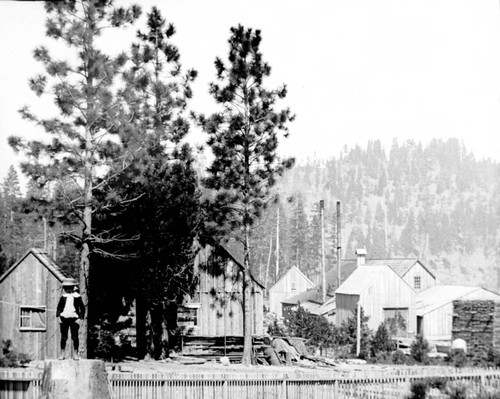 Young child standing on stump in front of buildings