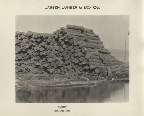 Log Pile