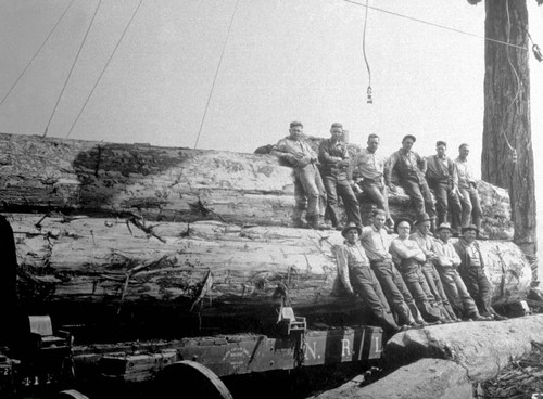Men standing on logs on a railroad car