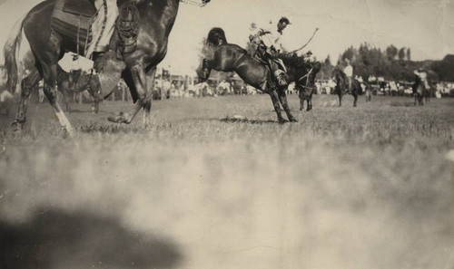 California Rodeo