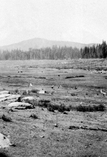 Site of the diversion dam lakebed for the Bucks Creek Hydroelectric project