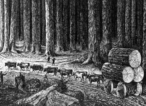 Sierra Flume and Lumber Company