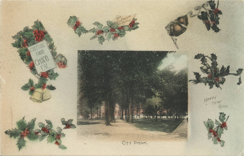 Chico City Park - Christmas postcard