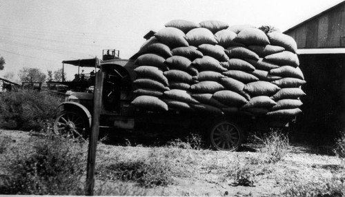 Trucks Full of Hops