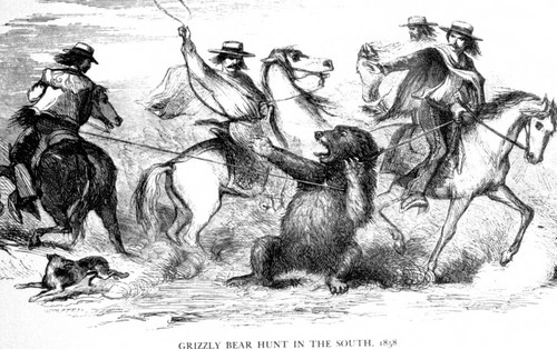 Illustrated Grizzly Bear Hunt in the South