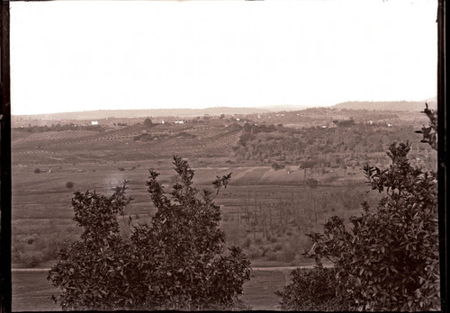 Bird's eye view of the Citrus Colony