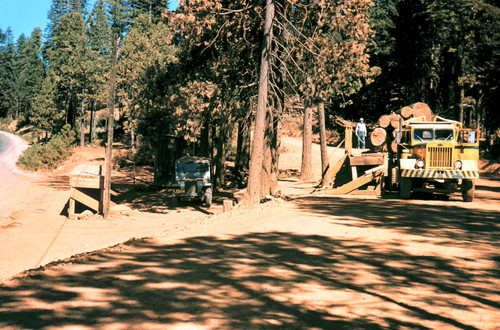 Log scaling station--Soper-Wheeler Company