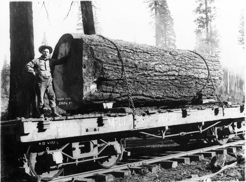 Logging Railroad