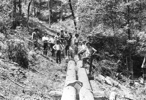 Sierra Lumber Company chute crew