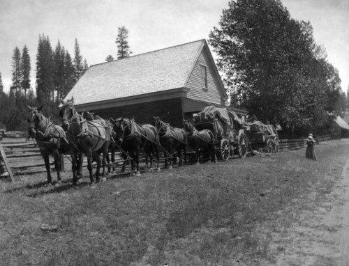 Freight Wagon at Spanish Ranch