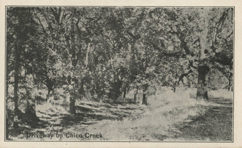 Chico Park