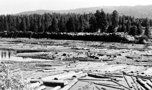 Log pond