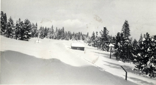 Railroad Tracks Under Snow