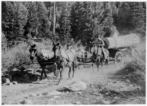 Logging wagon