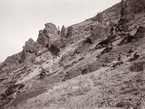 Rocky Hillside in Coastal Range