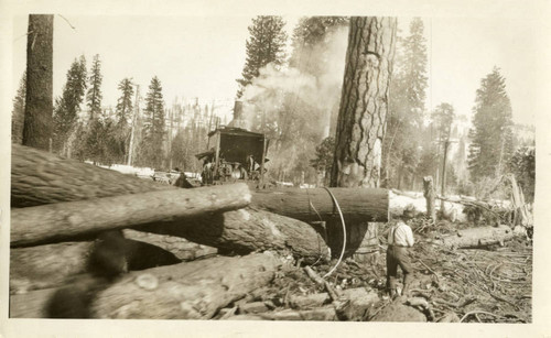 Log Loader