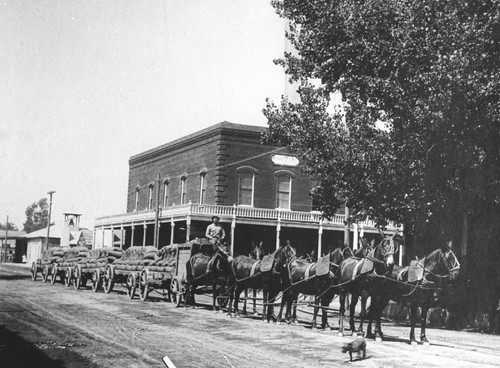 Barley Load in Williams Downtown