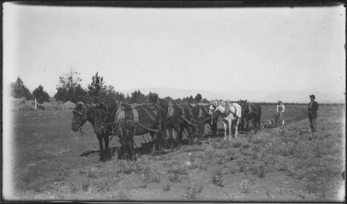 Plowing Brown Ranch