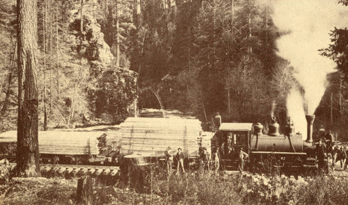 Lumber train