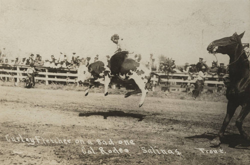 Curley Fletcher, California Rodeo