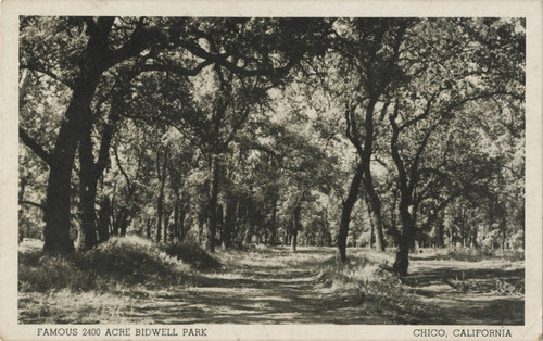 Bidwell Park