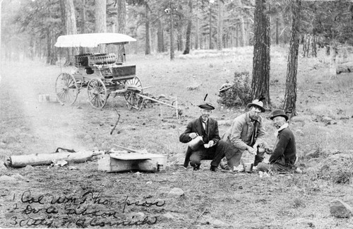 Pioneers Camping