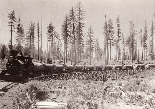 Logging Train on Trestle