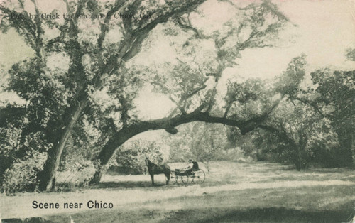 Scene near Chico