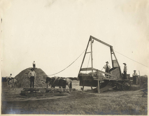 Sacramento Valley Sugar Company - Laborers