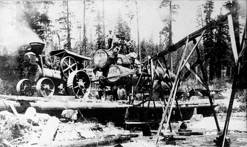 Logging in Plumas County