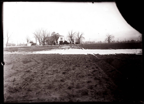 Morehead Ranch after heavy rain