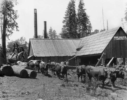 Log wagon