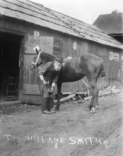 Shoeing horse in Sawyers Bar area