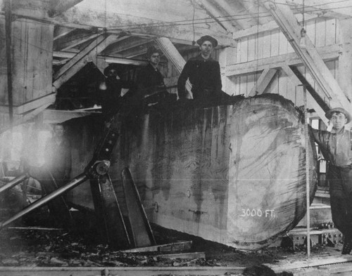 Men posing on huge log cut in half in sawmill