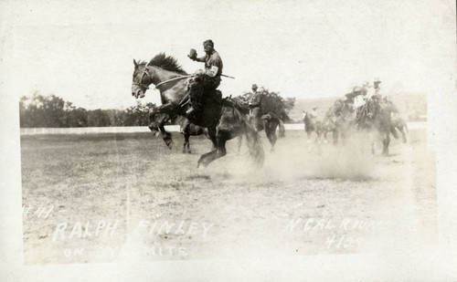 Bucking Horse